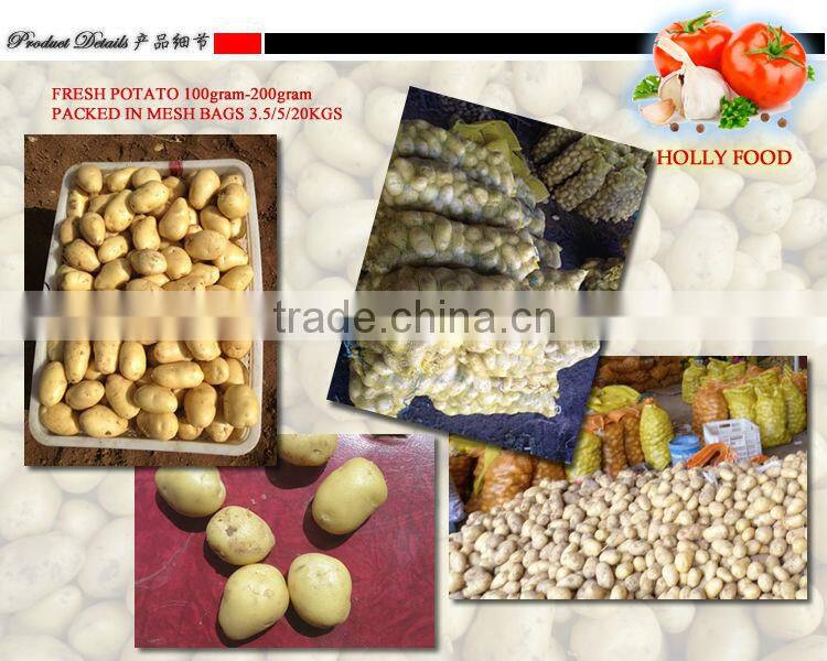 3.5kg 5kg 20kg mesh bag fresh potato 100+ 200 grams ASEAN southest asia middle east Arabic Pakistan