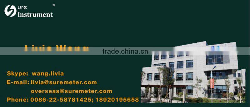 Panel Meter (Totalizer) batch controller