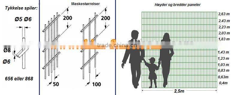 Cheap double wire mesh garden fencing