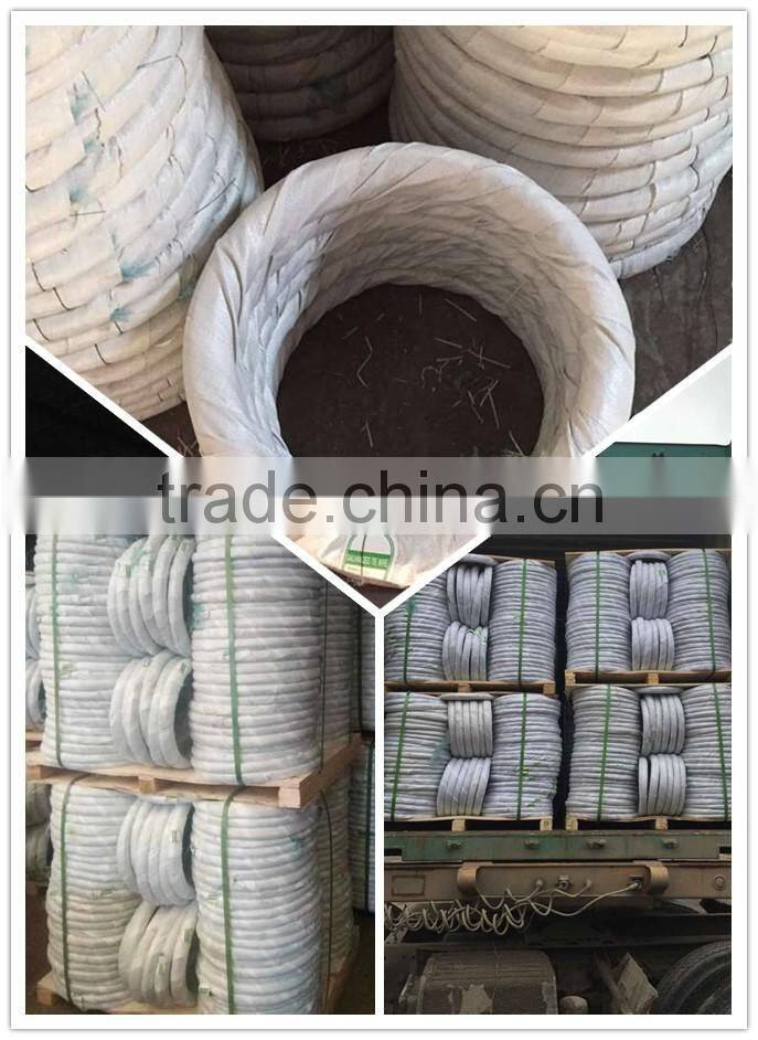 BWG 22 8kg Electro Galvanized Iron Wire