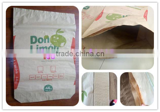 2.5kg 3kg 5kg kraft paper charcoal packing bag
