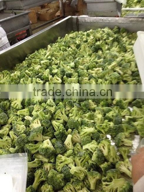 Frozen broccoli florets High quality Green and healthy