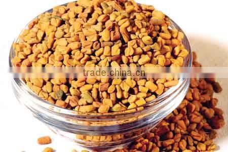 Fenugreek seeds