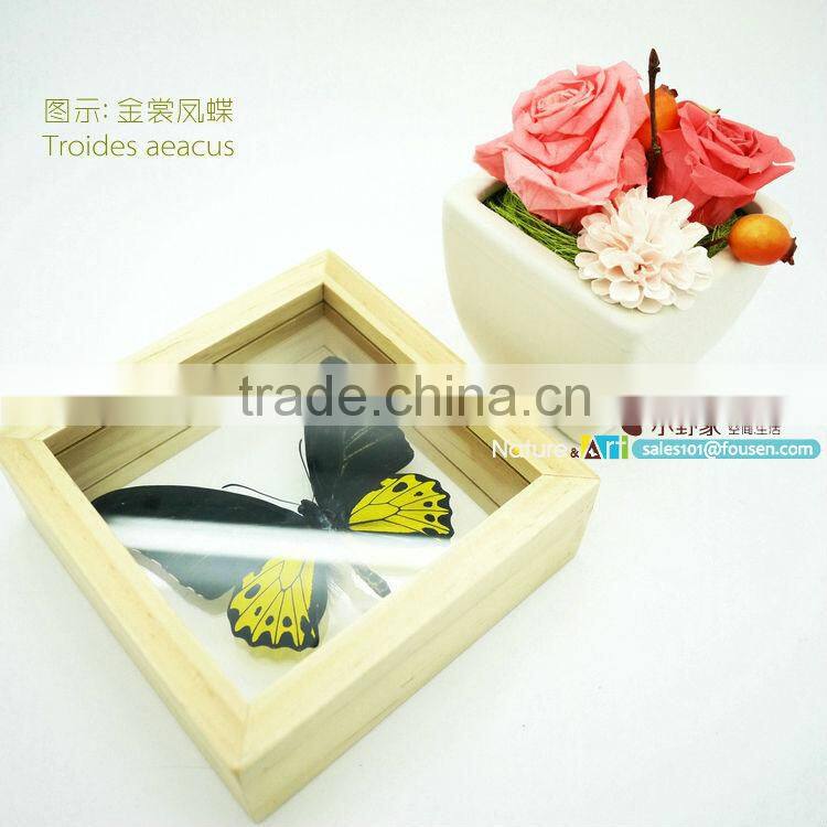FOUSEN(011) Nature& Art natural real dried butterfly unique table frame