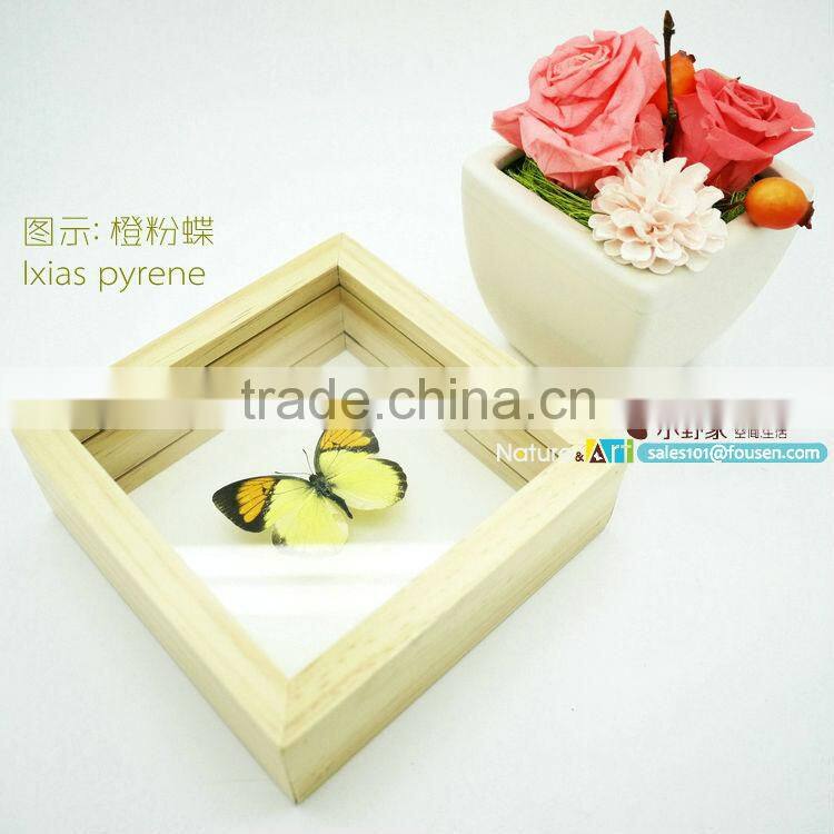 FOUSEN(011) Nature& Art natural butterfly gifts and crafts all products