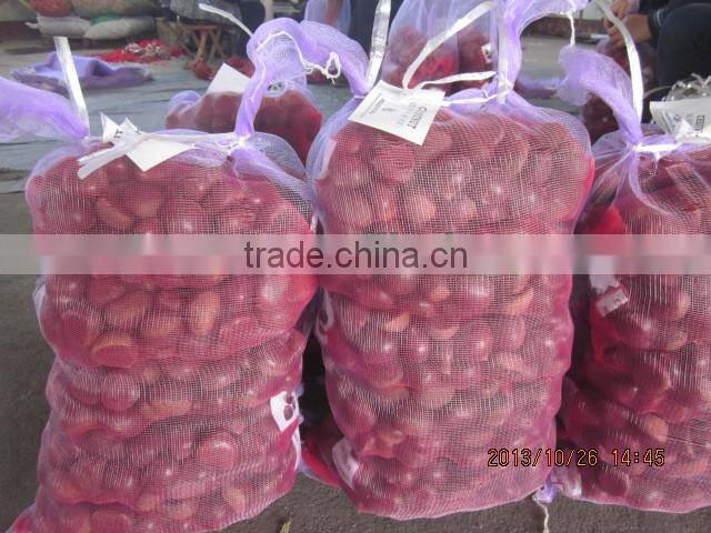 chestnut , fresh chestnut