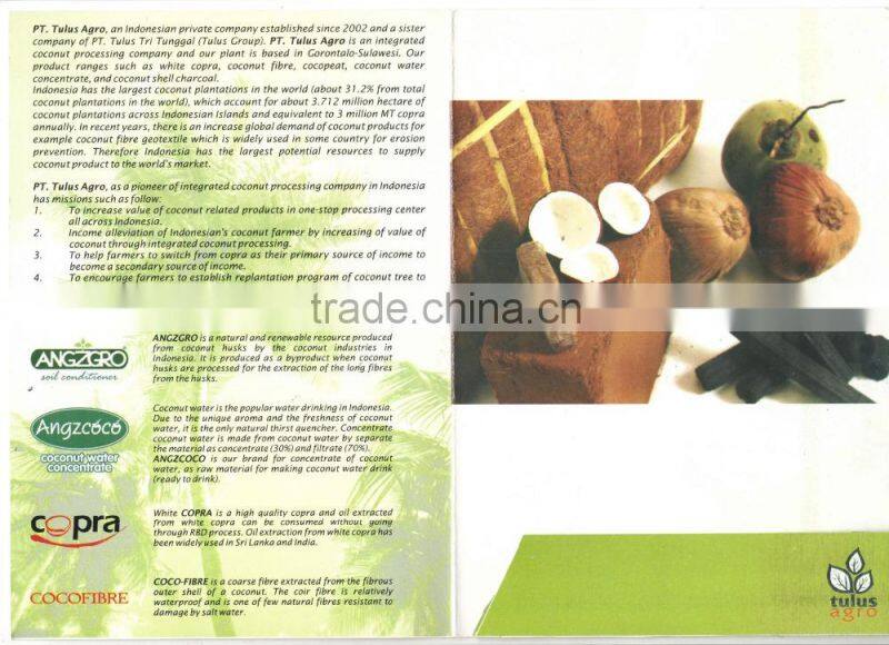 BEST Coco Fiber (Serabut Kelapa)- SALE PRICE!!