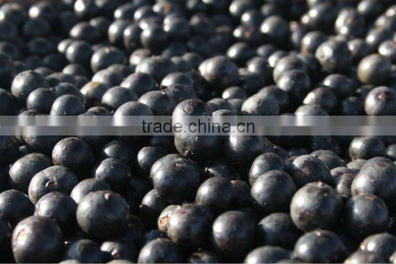 Acai Clarified Juice (SINGLE STRENGTH)