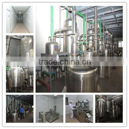 GMP Certified Manufacturer Supply Nettle Extract