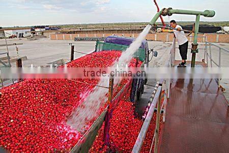 70G-4500G China Hot Sell Canned tomato paste,tomato ketchup production line
