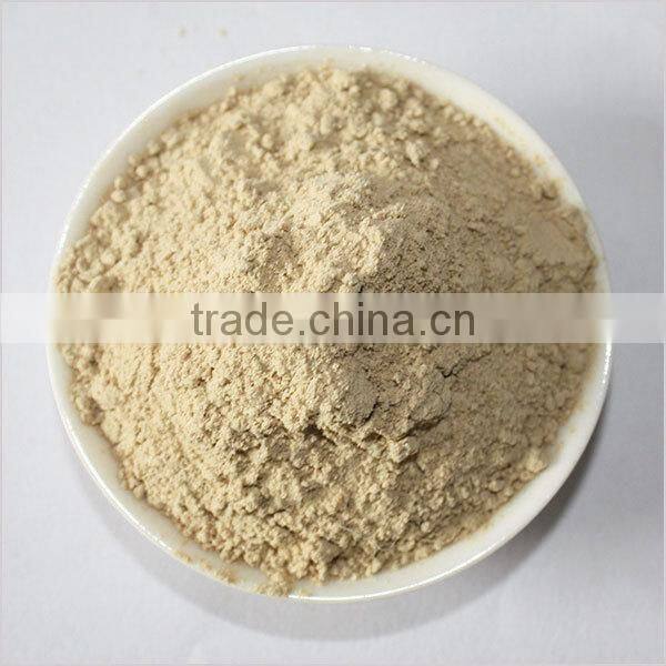 ground rhizoma kaempferiae