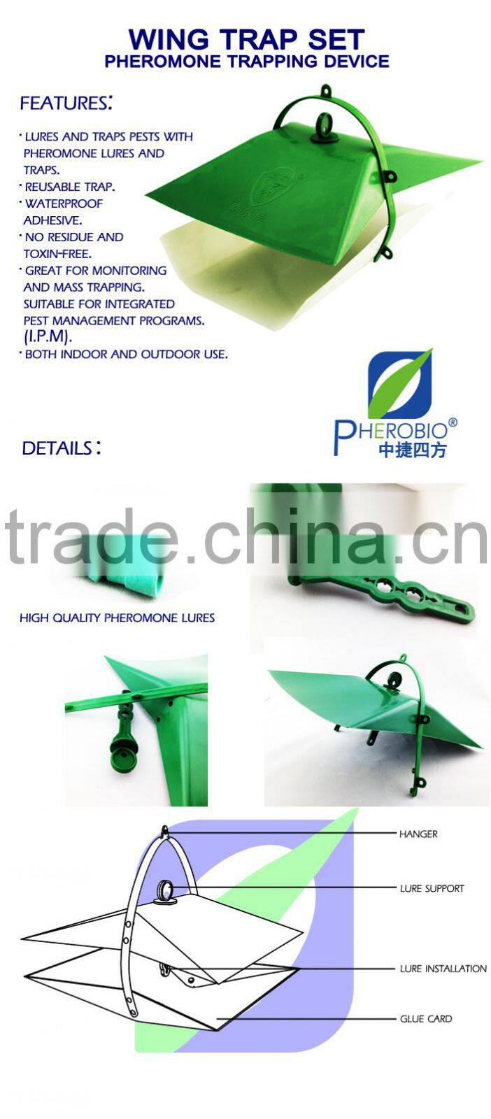 Pheromone Lure for Tryporyza incertulas and trap set