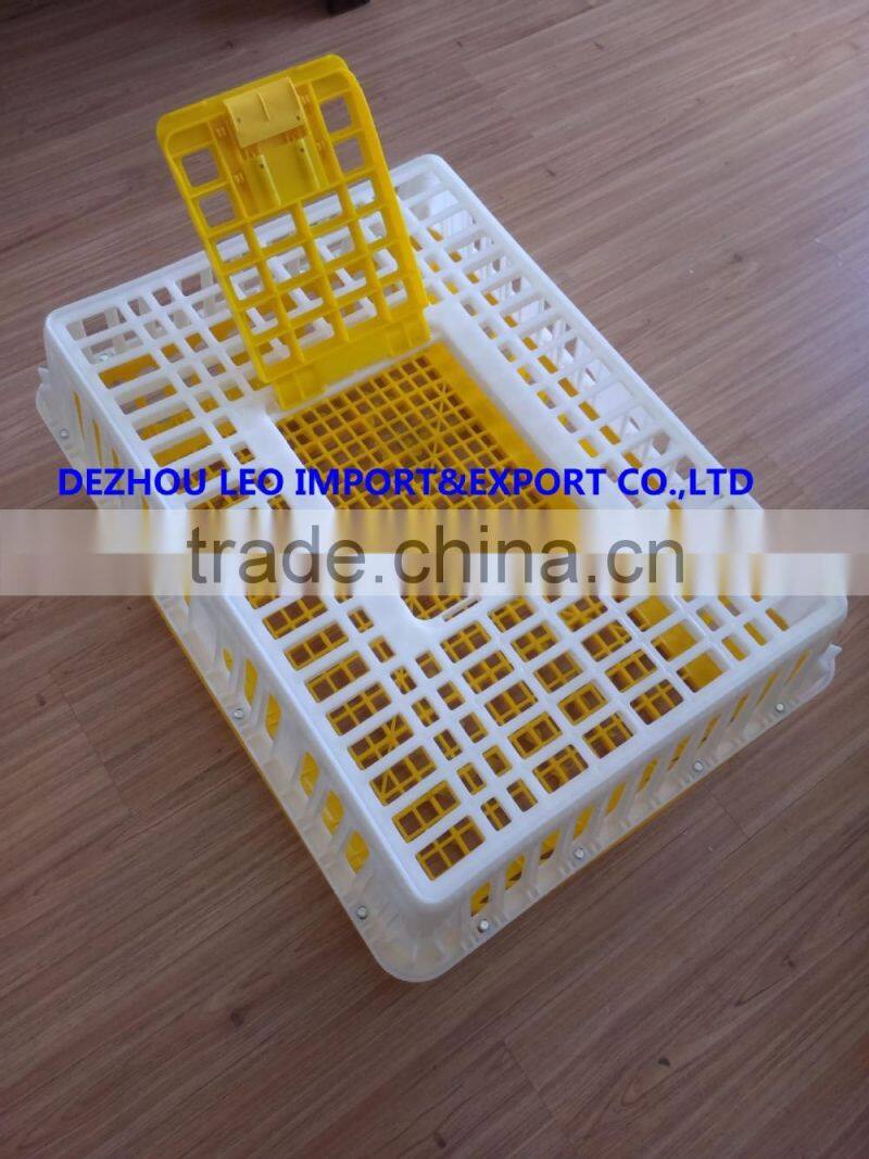 European Union hot selling plastic chicken transport box
