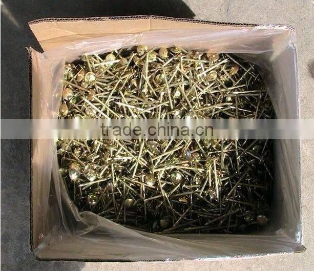 nail polish/Galvanized cap roofing nails/Polishing Clout Nails