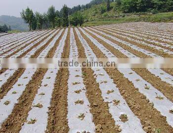 recycled mulch film/recycled greenhouse film