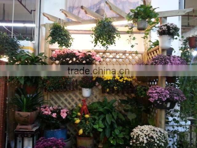 cheap flower box wood planter boxes