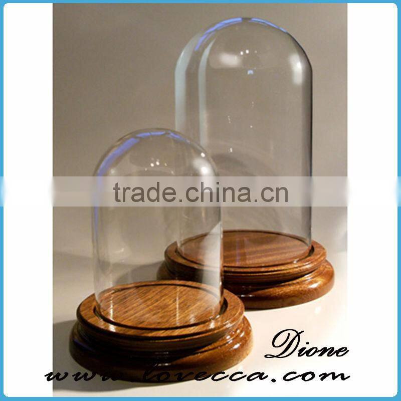 Mouth Blown Modern decoration Glass Globe customized flower clear glass display dome