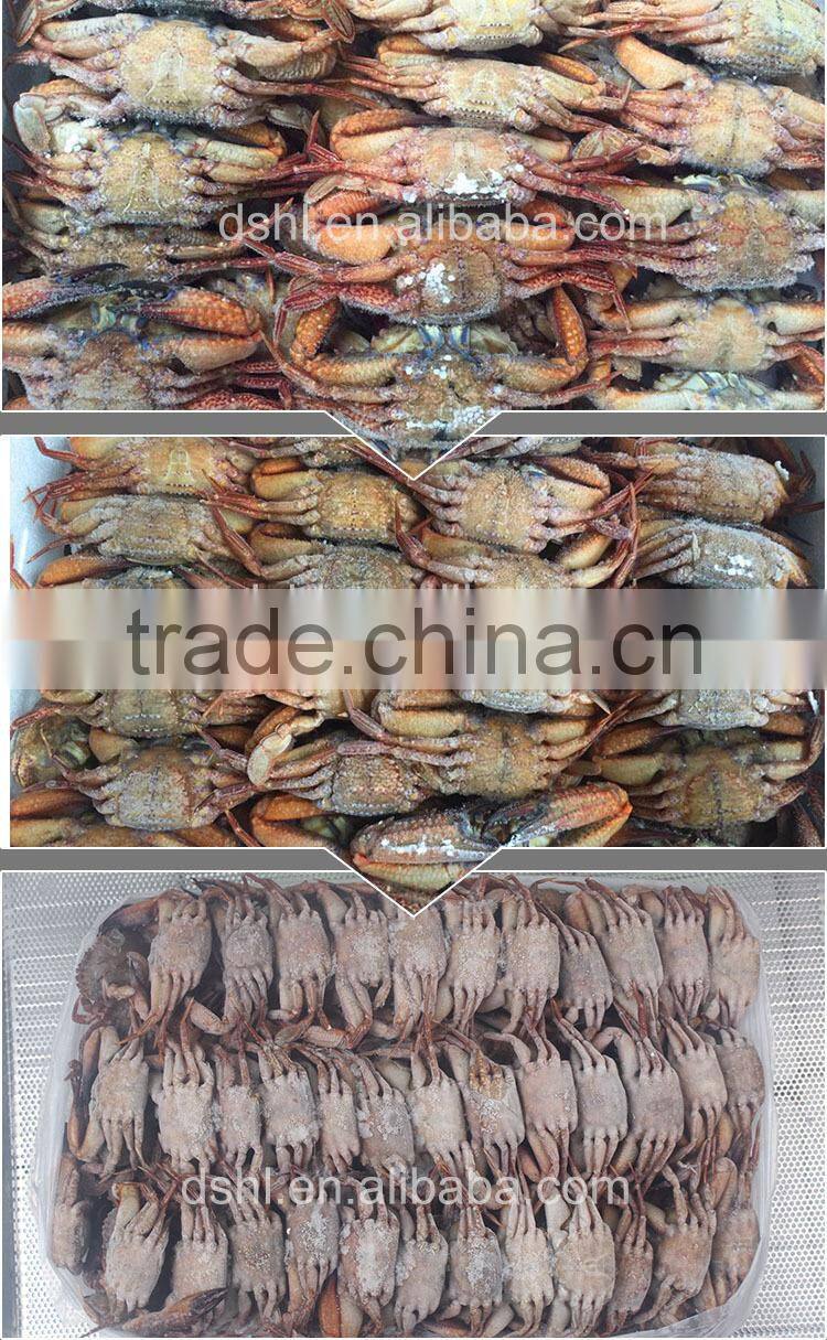 Frozen Black Crab,Frozen Crab,Stone Crab ,Crab Whole Round
