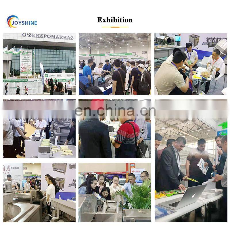 High quality gas burner automatic meat fryer equipement chicken frying machine