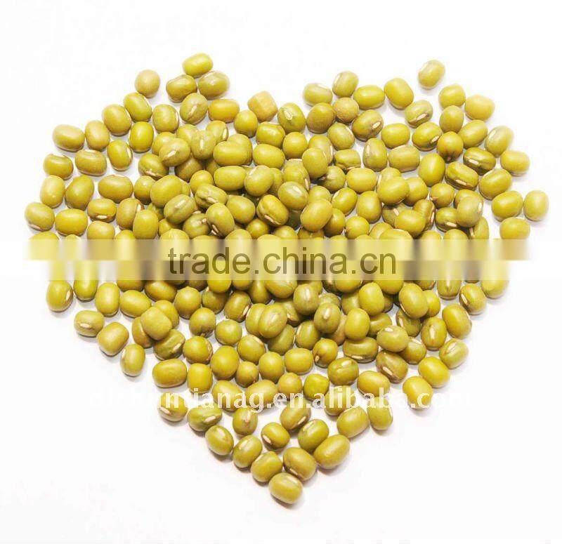 organic mung bean