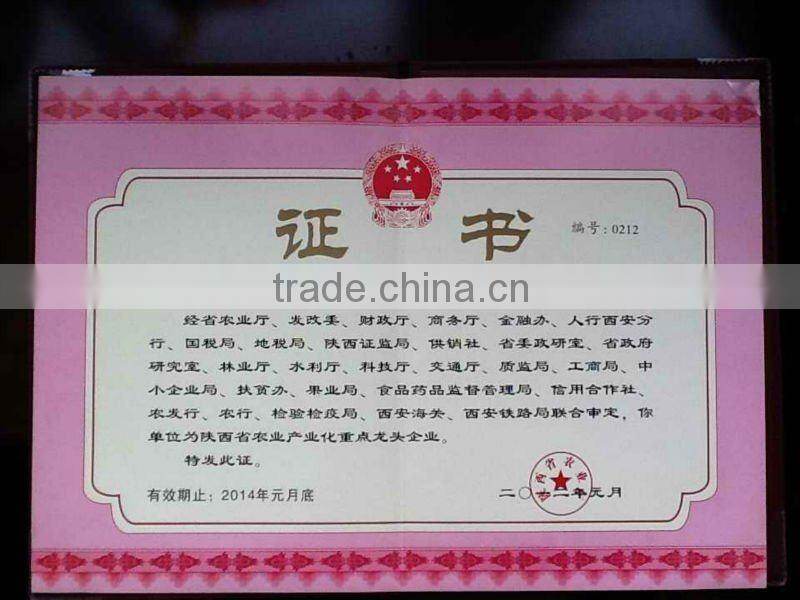 2014 Marshmallow flowers