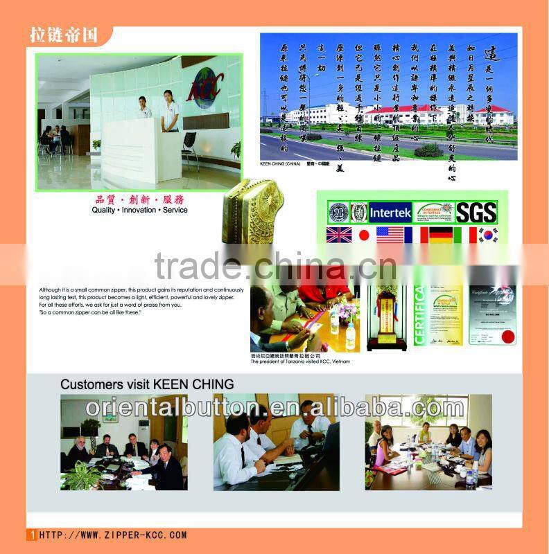 New arrival fasion style dyeable plastic zipper for bags