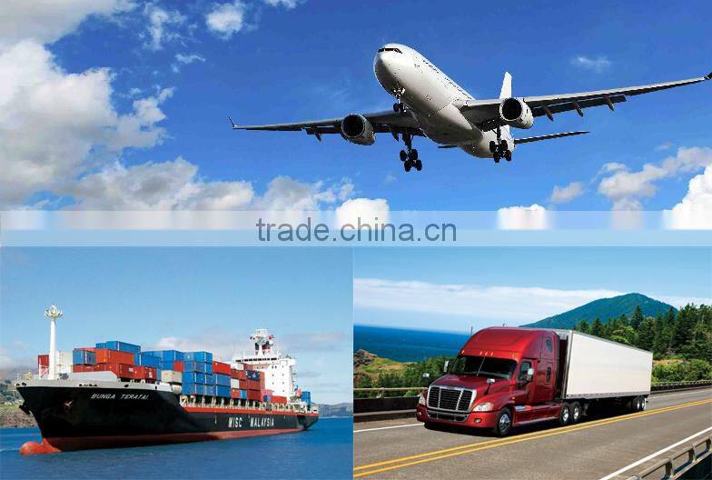 2 Port Micro USB Auto Charger Portable Cell Phone Charger Bullet with Three Color Base