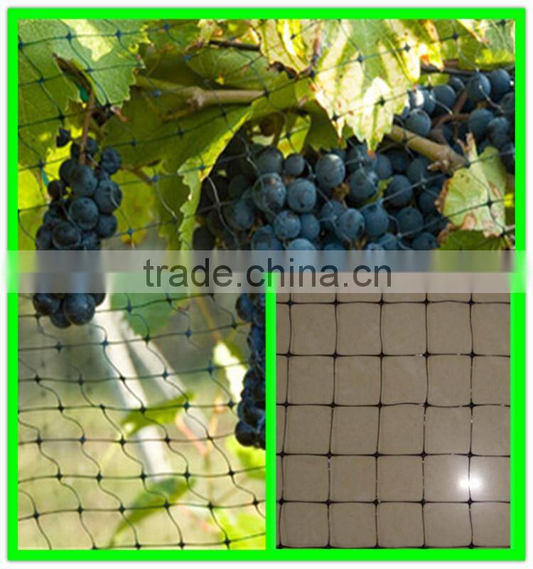 garden used plastic plant support net for flowers