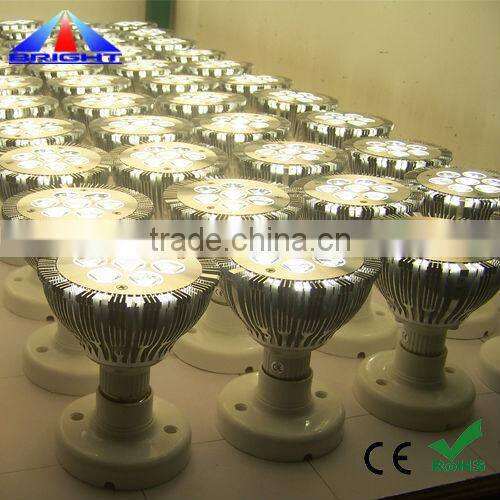 Bridgelux chip, PAR30 LED