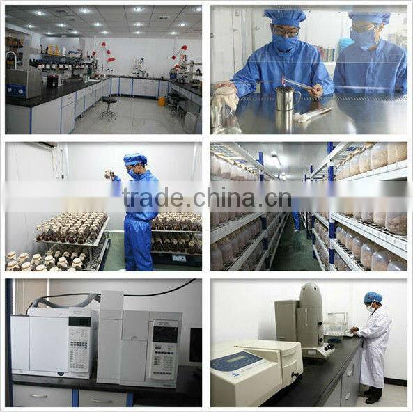BP2013 St. John's Wort/Hypericum Perforatum Extract St John's Wort/St John Wort Extract