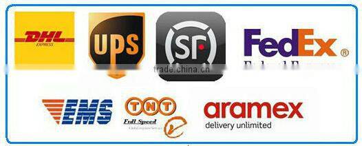 CH307 disposable seal barcoded straps of plastic bag