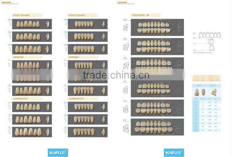 CE certificated Four layers kaiplus Synthetic polymer teeth