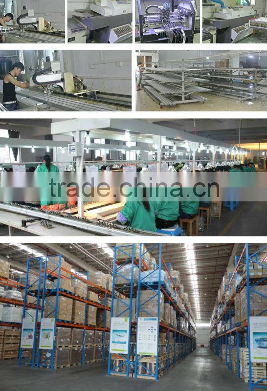 12v Led Lights Blue Color SMD5050