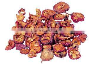 High quality!!commercial Microwave Vacuum dryer for Buckhorn