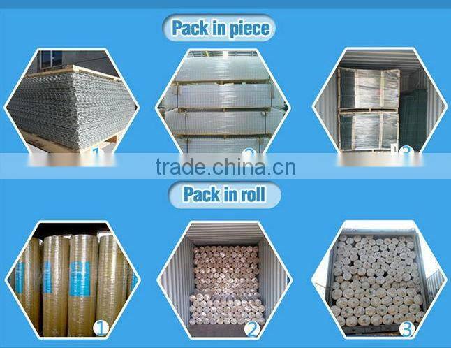 SQ-304 welded wire mesh (Anping manufacture)