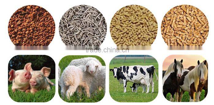 new design top rank bird food raw material extruder with CE certificate