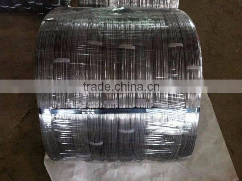 Galvanized Oval Wire 2.4x3.0mm For Farm Fencing