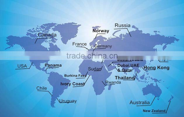 High quality car plastic cover cheap pe tarpaulin camping tarp