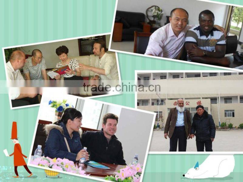 PP anti-bird net(professional factory,reasonable price with high quality)