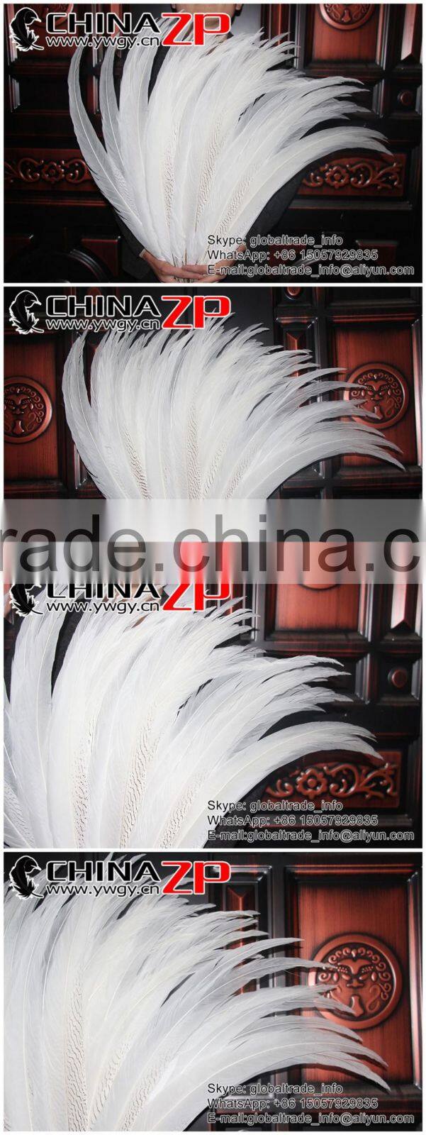 Top Supplier CHINAZP Bulk Sale Good Quality Wonderful Bleached White Long Silver Pheasant Tail Feathers Right