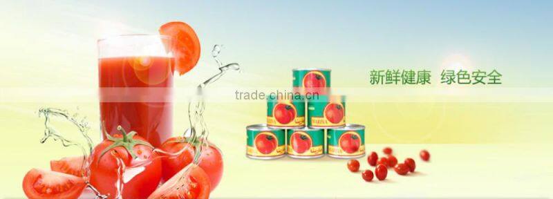 Made in china OEM ODM ketchup export Saudi Arabia Canned Beads In Tomato Sauce 425g 227g Beads In Tomato Paste