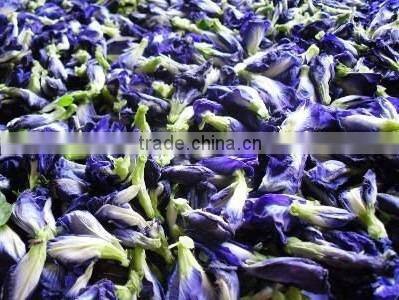 Butterfly Pea Tasteless Instant Drink Powder for Sale