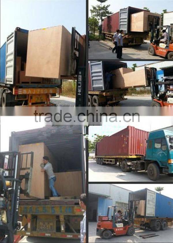 New! Vertical type Pellet packaging machine