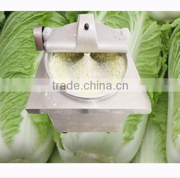Custom-made commercial fruit and vegetablegrinding machine