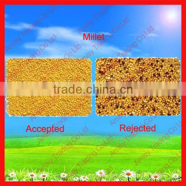 320 Channels Garlic Color Sorting Machine for Sale 0086 371 65866393