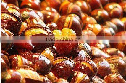 Stainless Steel Electric Chestnut Roaster for restaurant use(EB-460-2)