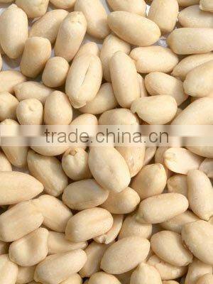 TOP QUALITY peanut blanching machine manufacture