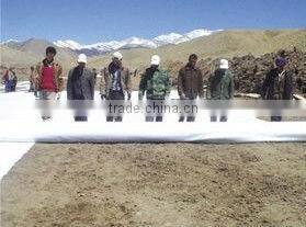 composite geomembrane composite earthwork film