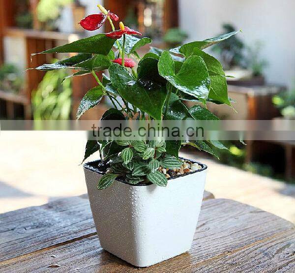 china housewares wholesale interior decorative flowers pots