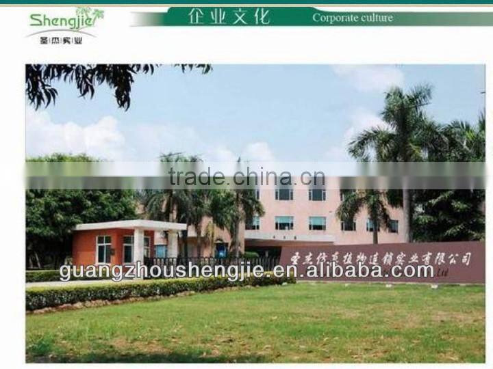 SJLJ013271 Wholesale artificial green wall quality PE material artificial grass